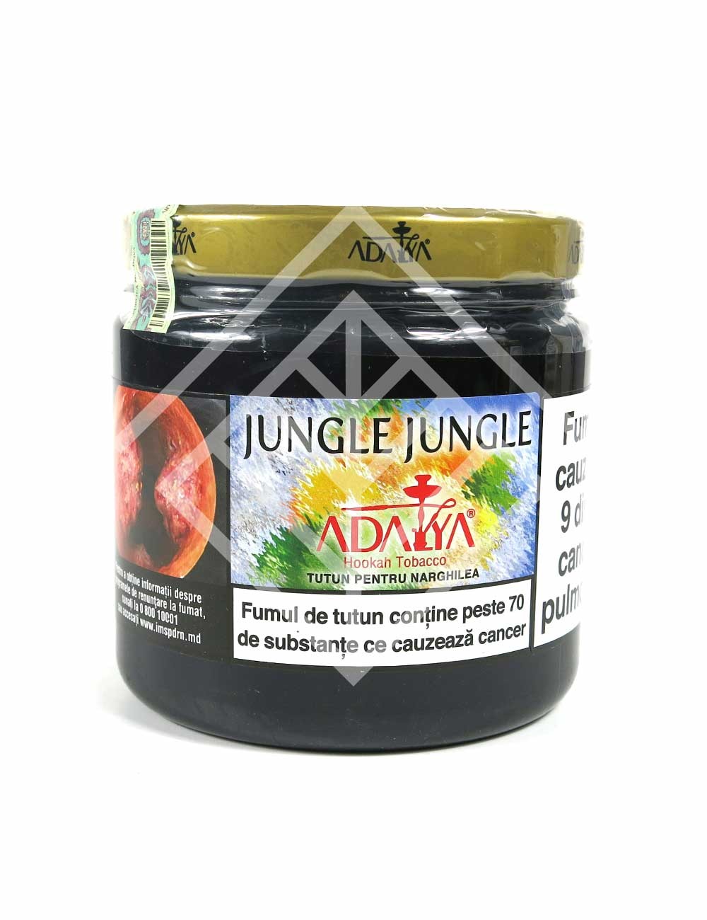 Jungle Jungle